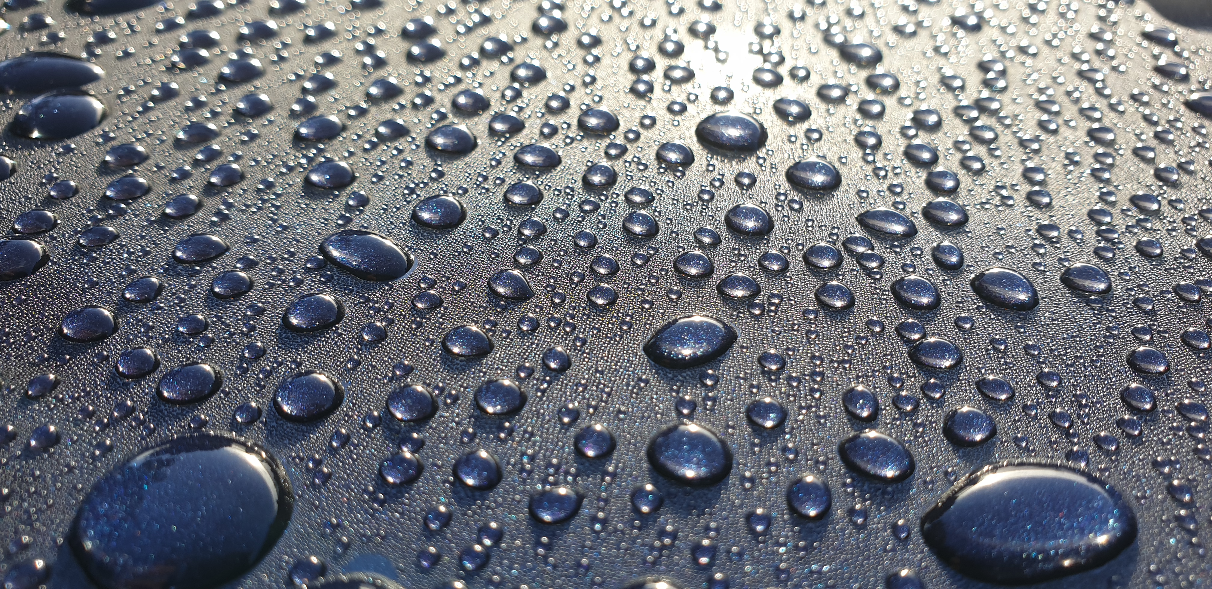 Protective Coating